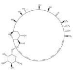 Anfotericina B (Sol. Amarela)
