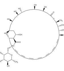 Anfotericina B (Sol. Amarela)