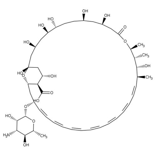 Anfotericina B (Sol. Amarela)