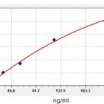 KIT ELISA HUMAN ANTI-SARS-COV2(N) IGG - 96T