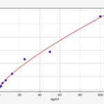 KIT ELISA IL-10 (INTERLEUCINA-10)