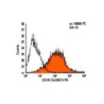 CD19 ANTICORPO (SJ25-C1)