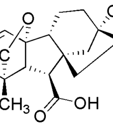 Acido Giberelico (> 900 Ug/Mg) - 5G