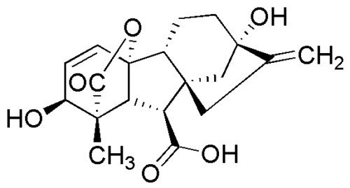 Acido Giberelico (> 900 Ug/Mg) - 5G