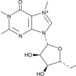 7-Metilguanosina