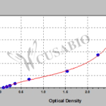 KIT ELISA 15 (FGF15)