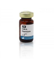 Concanavalina  A (Con A) Marcado Com Fluoresceina -Fr/25Mg