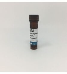 Aglutinina Succinilada De Germe De Trigo Marcado Com Fluoresceína - Fr/5Mg