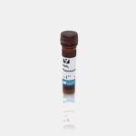 Aglutinina De Amendoim Marcado Com Fluoresceina -Fr/5Mg
