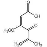 Acido Penicilico - Fr/25Mg