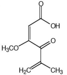 Acido Penicilico - Fr/25Mg