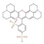 Cloreto Acido De Sulforodamina 101 - 5Mg