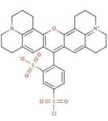 Cloreto Acido De Sulforodamina 101 - 5Mg