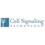 Anticorpos - Cell Signaling