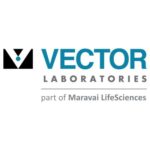 - Vector Laboratories