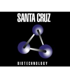 - Santa Cruz
