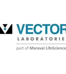N/A - Vector Laboratories