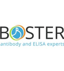 Kits ELISA - Boster Bio - MEK1008