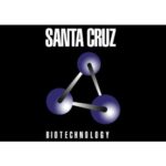 94-25-7 - Santa Cruz
