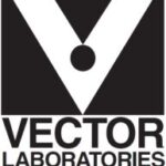 N/D - Vector Laboratories