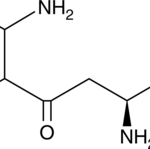 KYNURENINE PROTEINA - 100MG