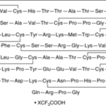 A-BUNGAROTOXINA, >99% -1MG