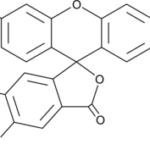 DAF-2 (4,5-DIAMINOFLUORESCEINA), 98% 250 UG