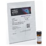 ÁCIDO CARBOXÍLICO ALEXA FLUOR ™ 488, SAL DE TRIS (TRIETILAMÔNIO) - FR/5MG