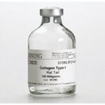 COLAGENO I, CAUDA DE RATO, 90% - FR/100MG