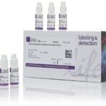 MEIO DE MONTAGEM ANTIFADE DIAMOND COM DAPI , 2ML - 5UN