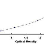 KIT ELISA LIPOPOLISACARÍDEOS (LPS), PAN-ESPÉCIES (GERAL) - 96 TESTES