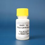 SOLUCAO POLI-L-LISINA CONC 10X -ATE 200 LAMIN -10ML