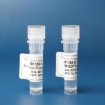 COQUETEL DE INIBIDOR DE PROTEASE DE AMPLO ESPECTRO (100X)- 2X1ML
