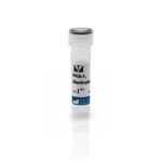 LECITINA TIPO PHASEOLUS VULGARIS LEUCOAGGLUTINI (PHA-L) FR/2MG