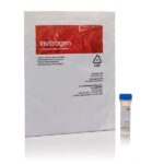ESTREPTAVIDINA CONJUGADO ALEXA FLUOR594 - FR/0,5ML