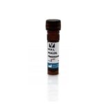 AGLUTININA I DE RICINUS COMMUNIS MARCADO COM FLUORESCEINA -FR/5MG