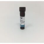 LECTINA I DE MAACKIA AMURENSIS MARCADO COM FLUORESCEINA -FR/2MG