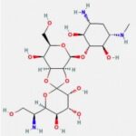 HYGROMYCIN B, 1 G