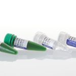 TAMPAO DE REACAO GOTAQ FLEXI VERDE- FR/20ML