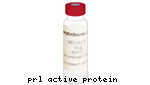 PROTEINA RECOMBINANTE COVID-19 (SARS-COV-2 E) - FR/0,1MG