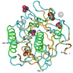 PROTEINASE K - FRASCO/5MG
