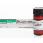 MEIO DE MONTAGEM AQUOSO - FR/10ML