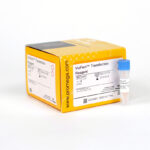 REAGENTE PARA TRANSFECÇÃO VIAFECT- FR / 0,75ML